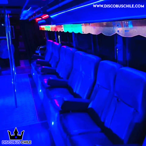discobus11 (1)