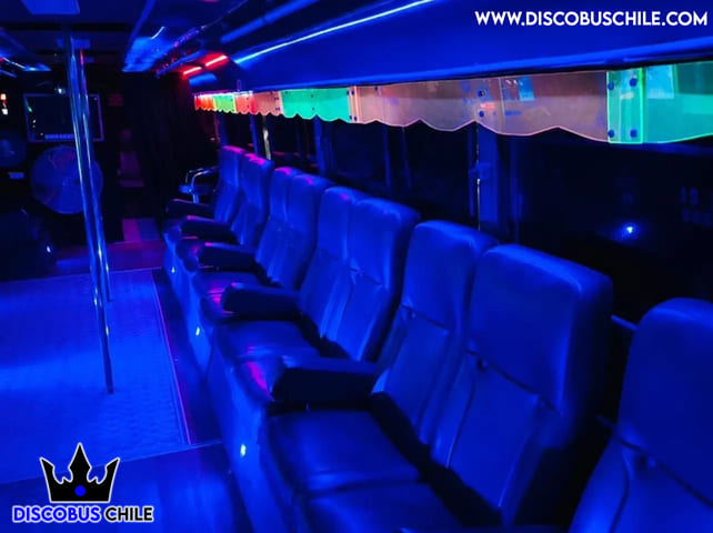 discobus9 (1)